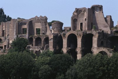 Ansicht des Palatin vom Circus Maximus von Roman